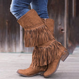 Women's Winter Tassel Cone Heel Chunky Heel Round Toe Elegant Vacation Vintage Boots